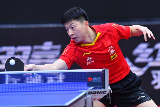 看到偶像们 看到偶像们