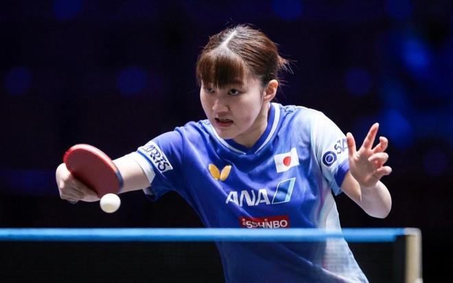 提供了更多 提供了更多