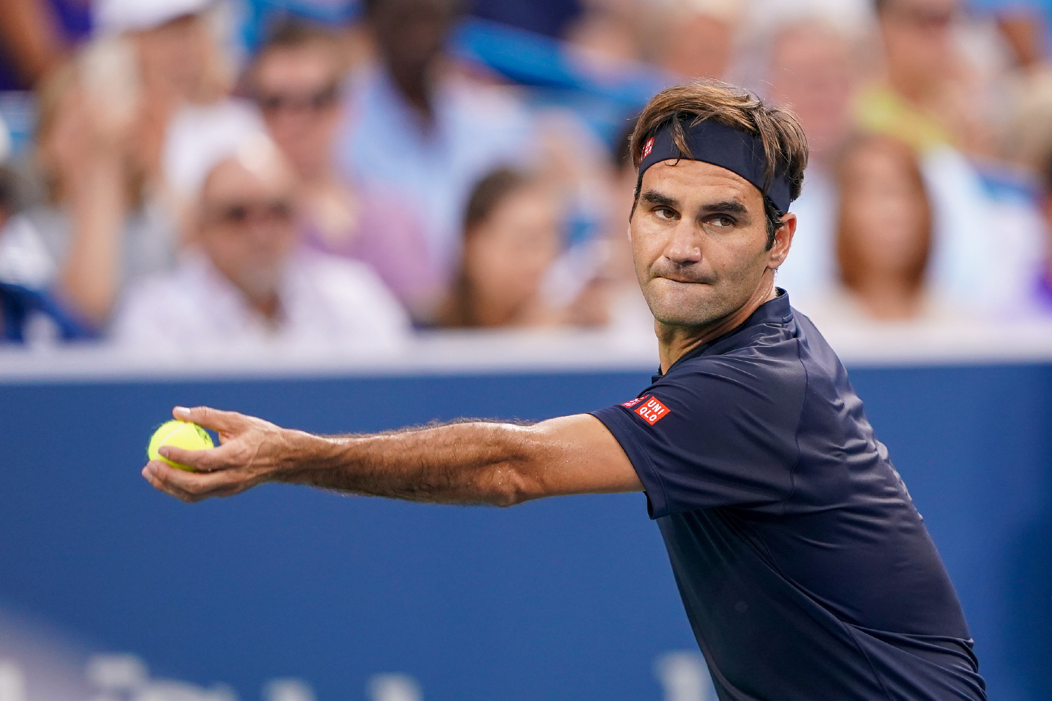 也给新人们 也给新人们